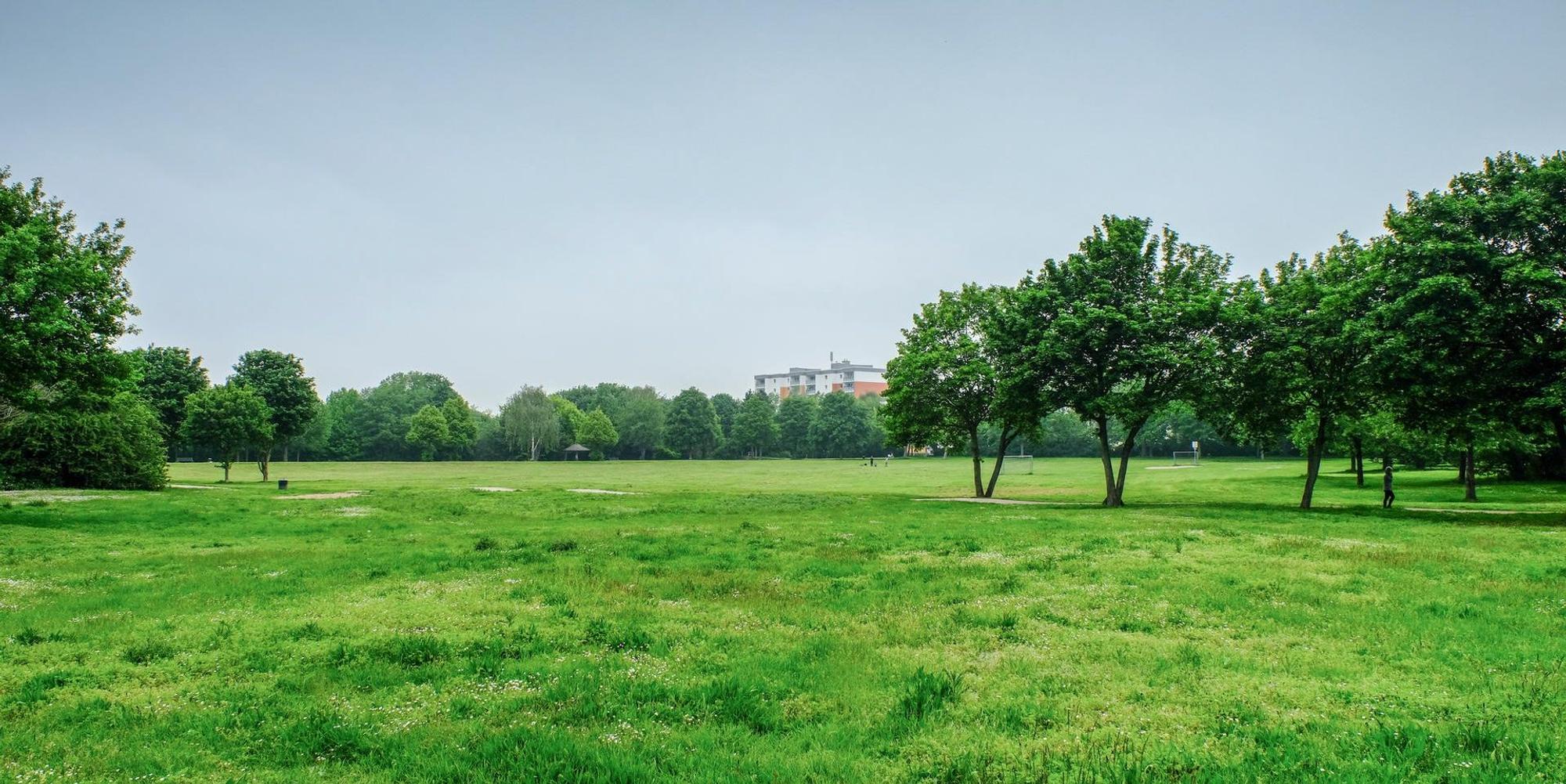20190520_Dreikoenigsgymnasium_HGM_05