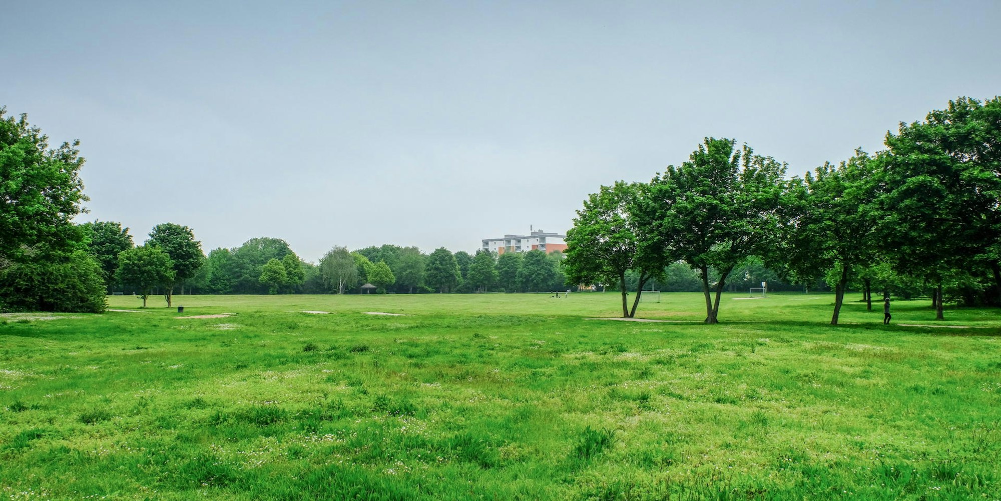 20190520_Dreikoenigsgymnasium_HGM_05