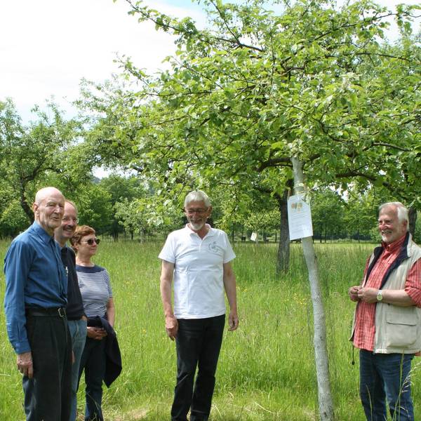 Obstwiesenfest Eitorf