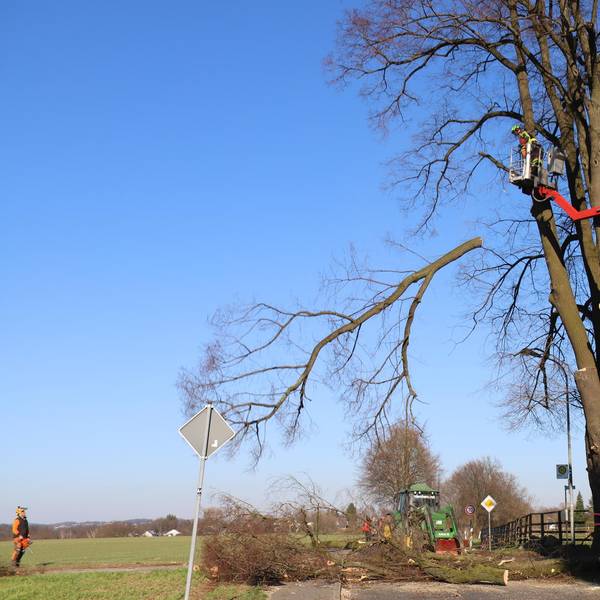 Neuer Inhalt (1)
