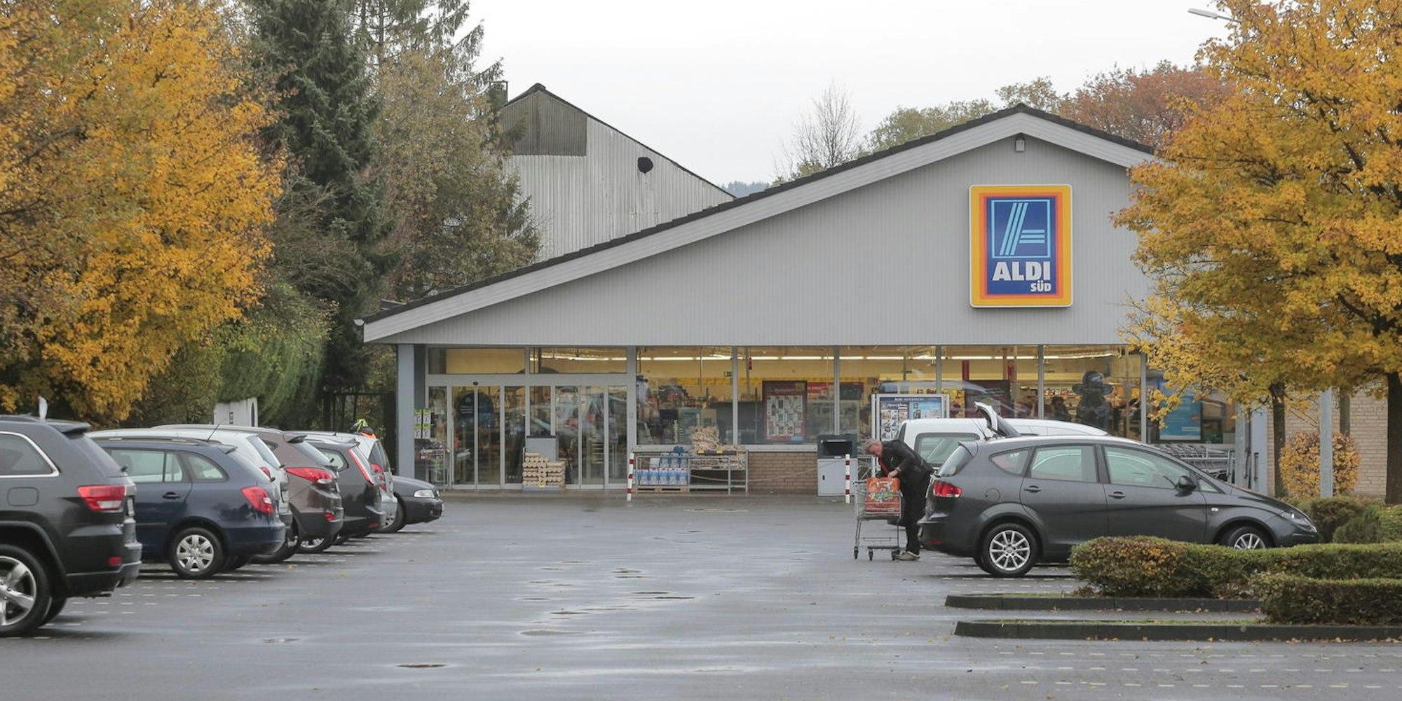 Aldi -Lindlar