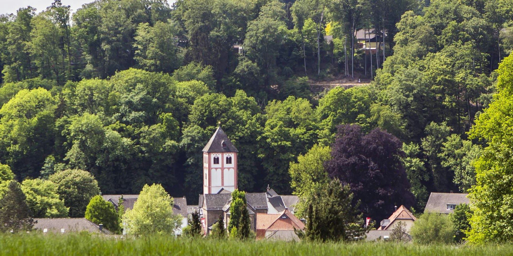 Odenthal Arlinghaus