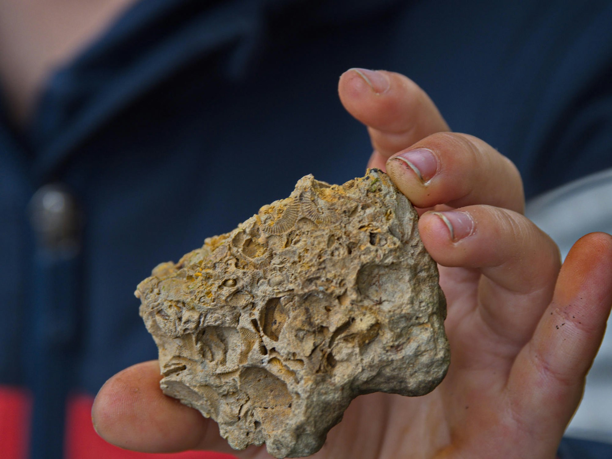 Wanderung Schloss Gimborn Bergisches Land 07 Koralle