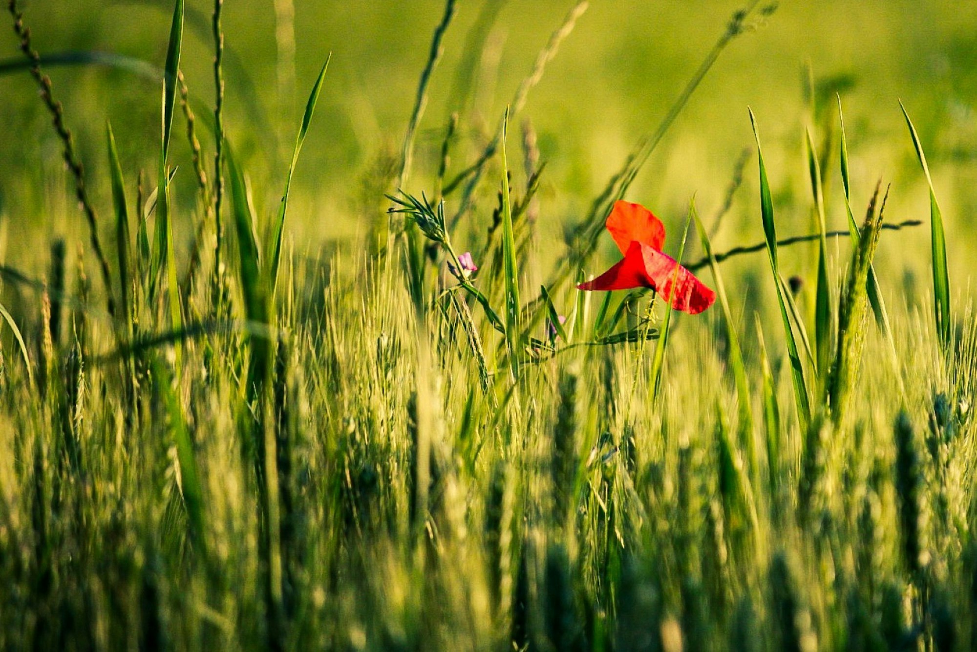 20_einhaus-christian-ov-2