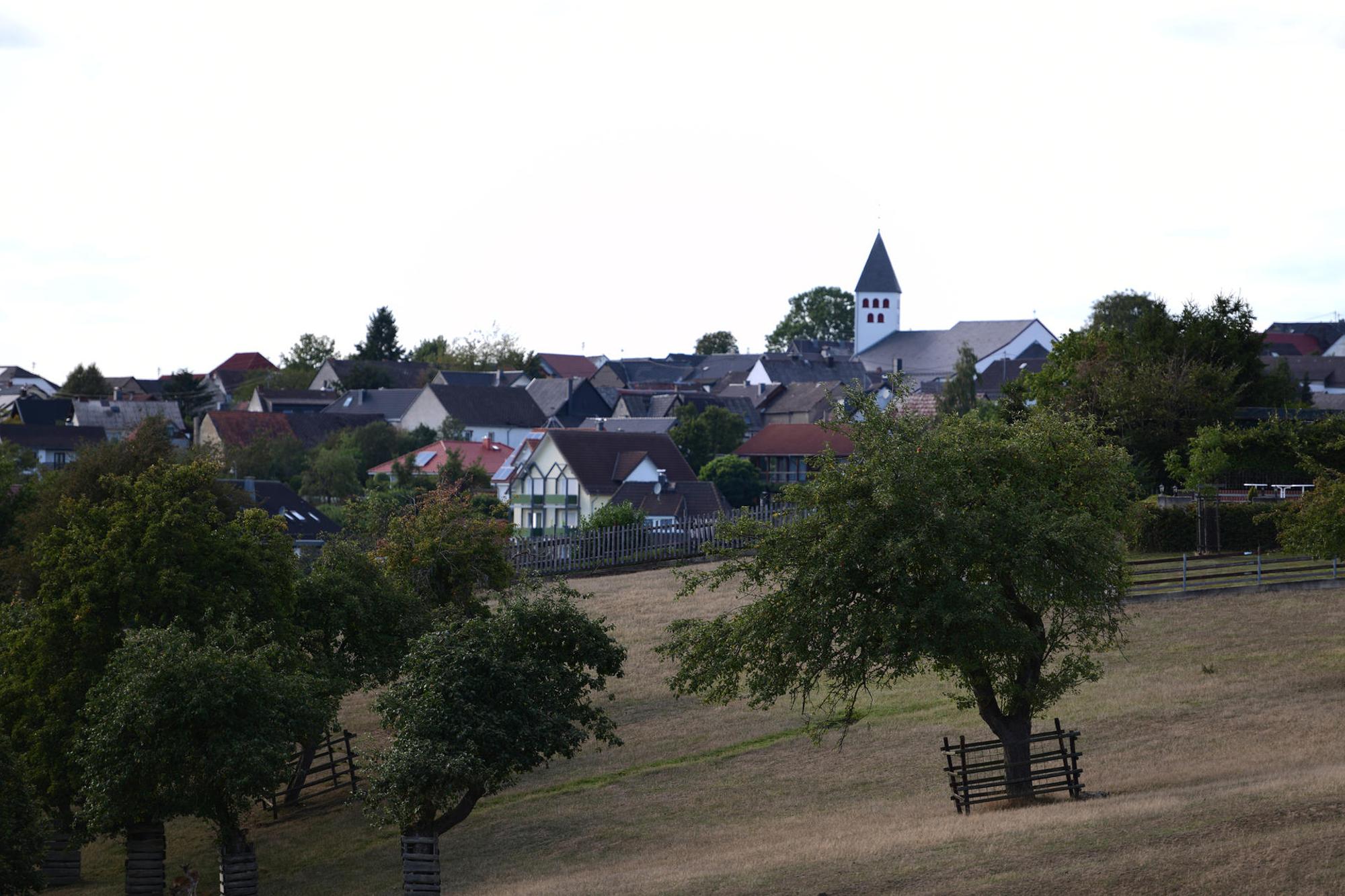 Peter Wohlleben Wanderung Olaf Wull NickelDorf16