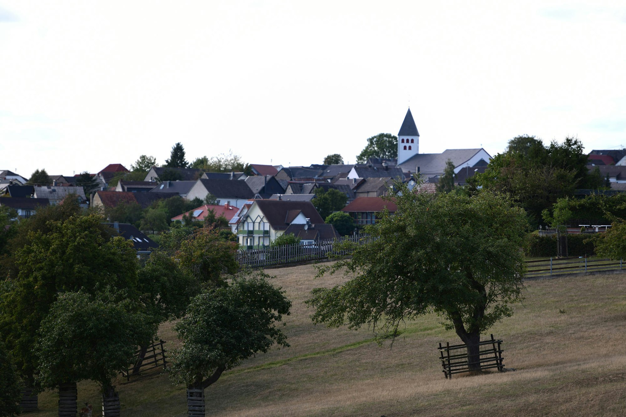 Peter Wohlleben Wanderung Olaf Wull NickelDorf16