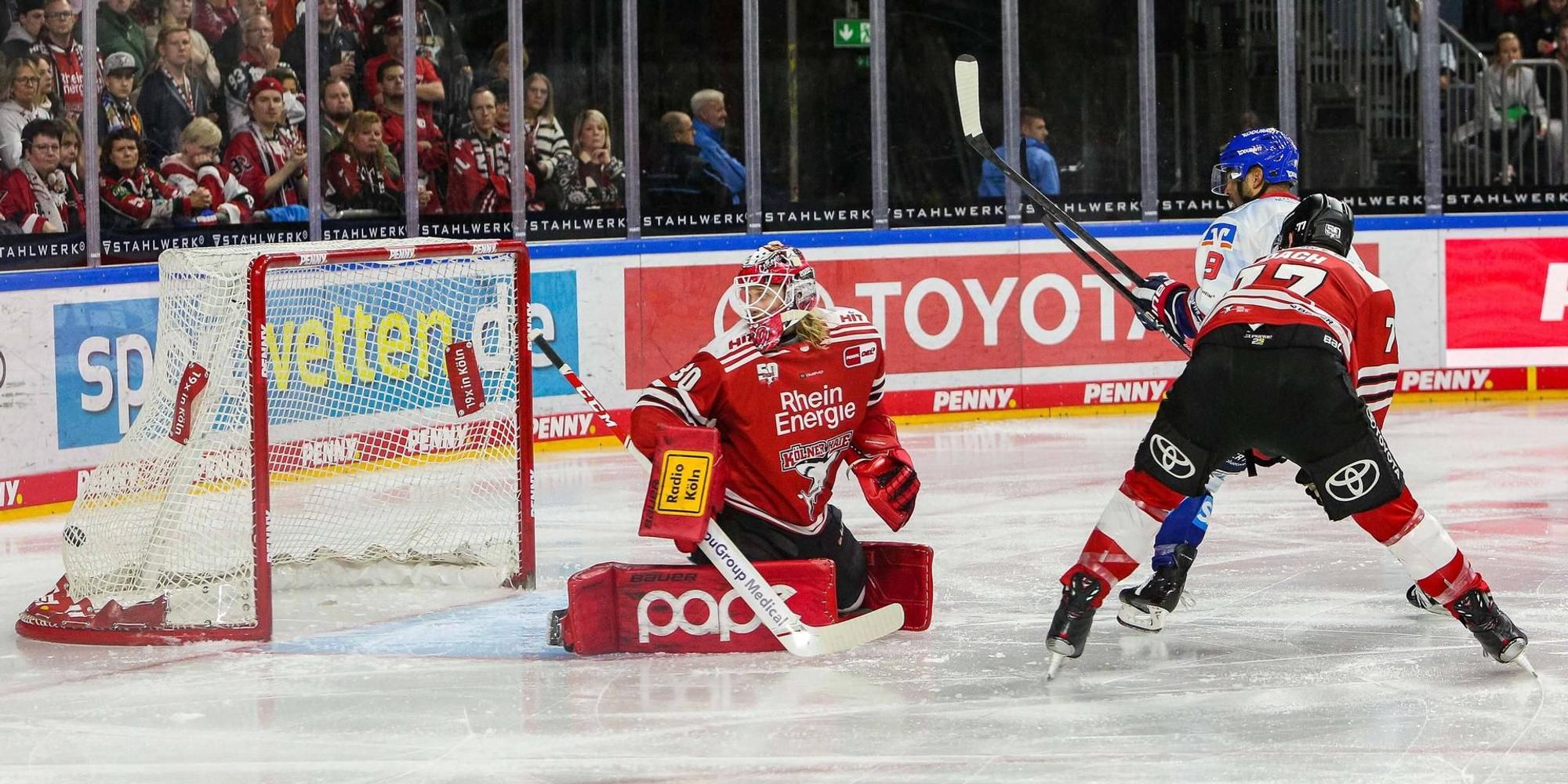 Haie 041122