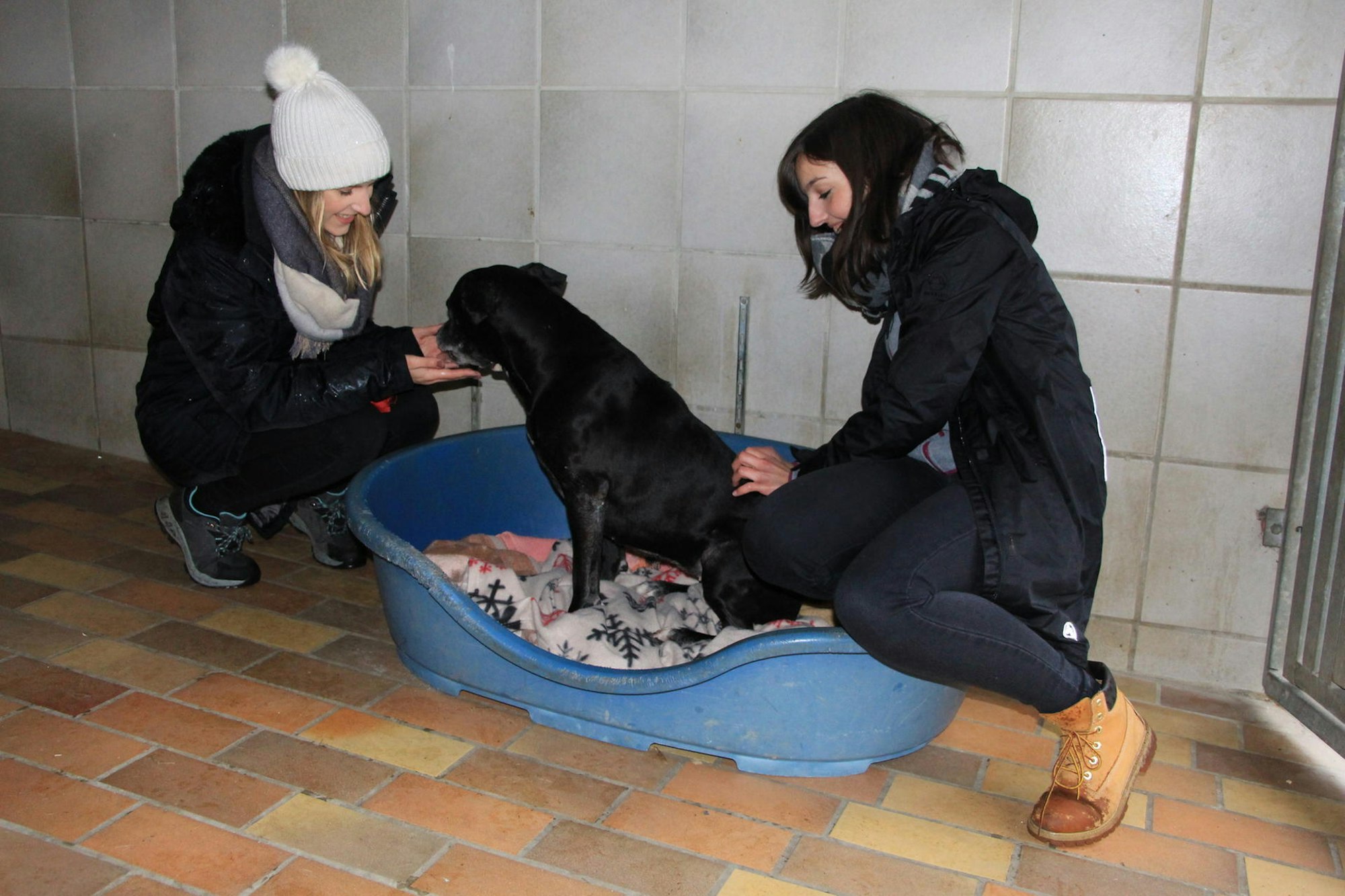 Gassigängerinnen_Tierheim_Troisdorf2