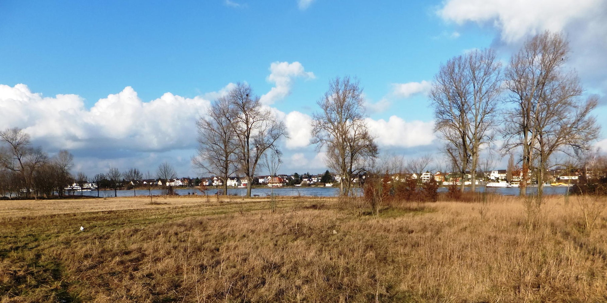 Bornheim_Flussauenlandschaft_Masterplan_Rheinaue