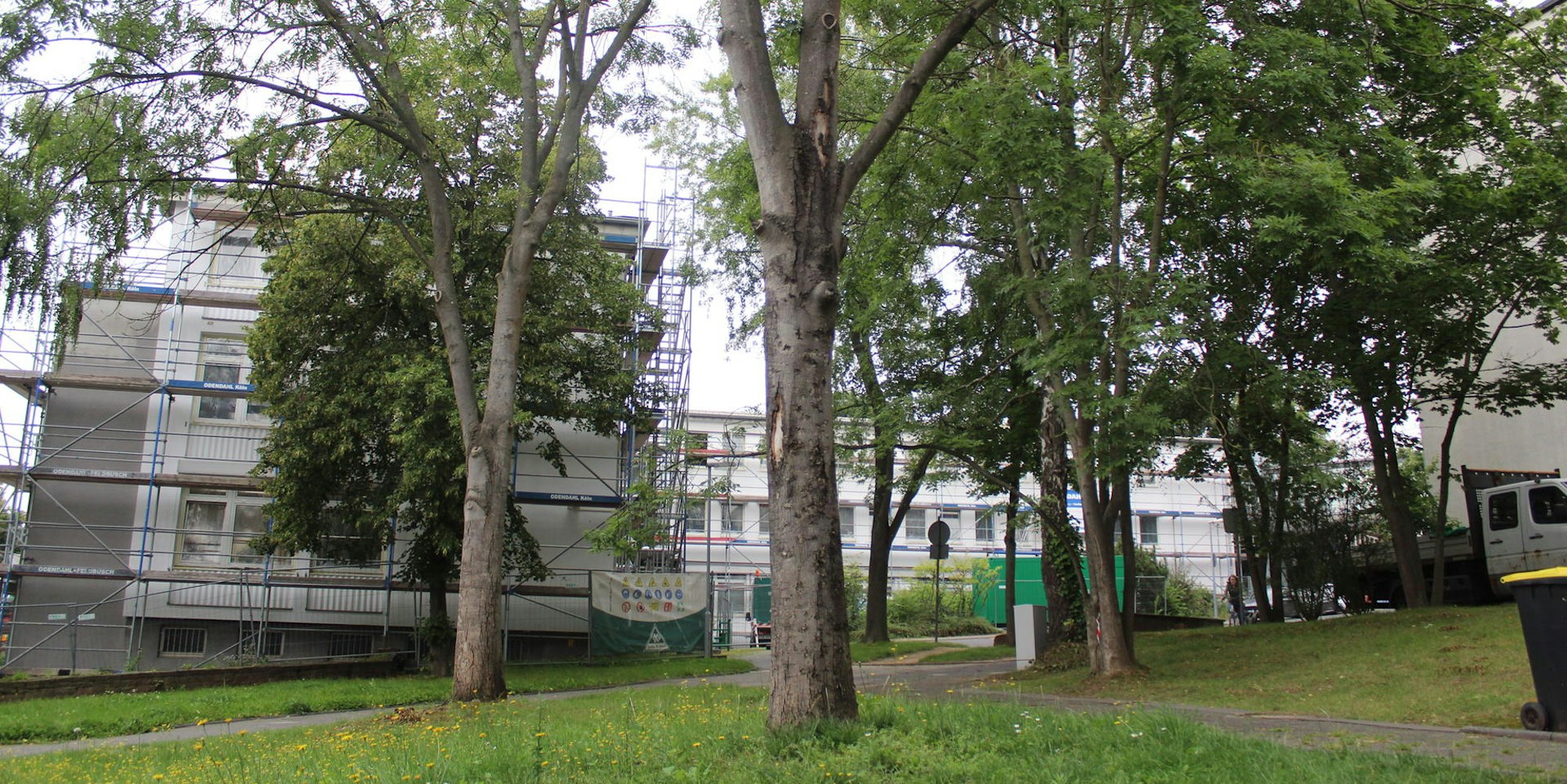 Bergheim_Eschen_Schuetzenstrasze_(1)