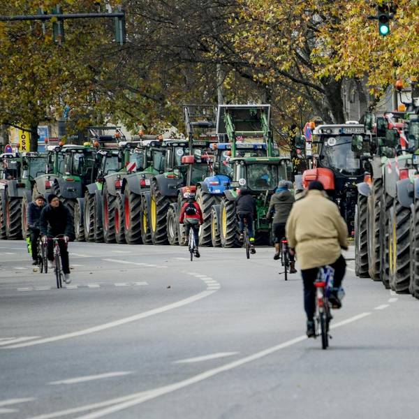 Traktor Proteste DPA 221119