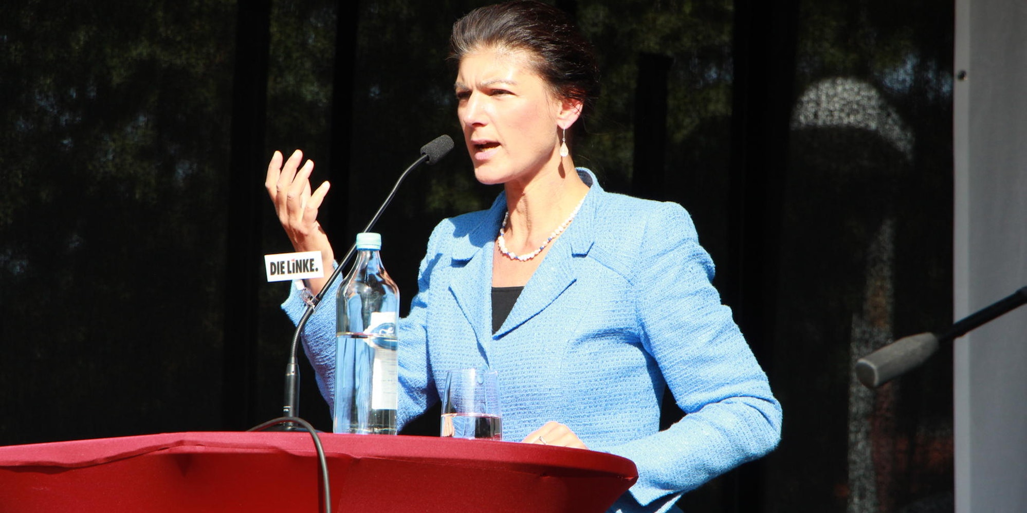 Wagenknecht_Niederpleis