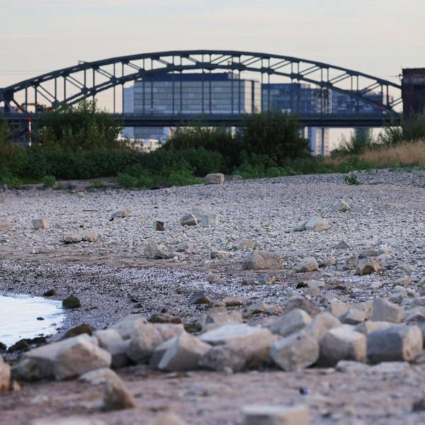 Trockener Rhein bei Köln