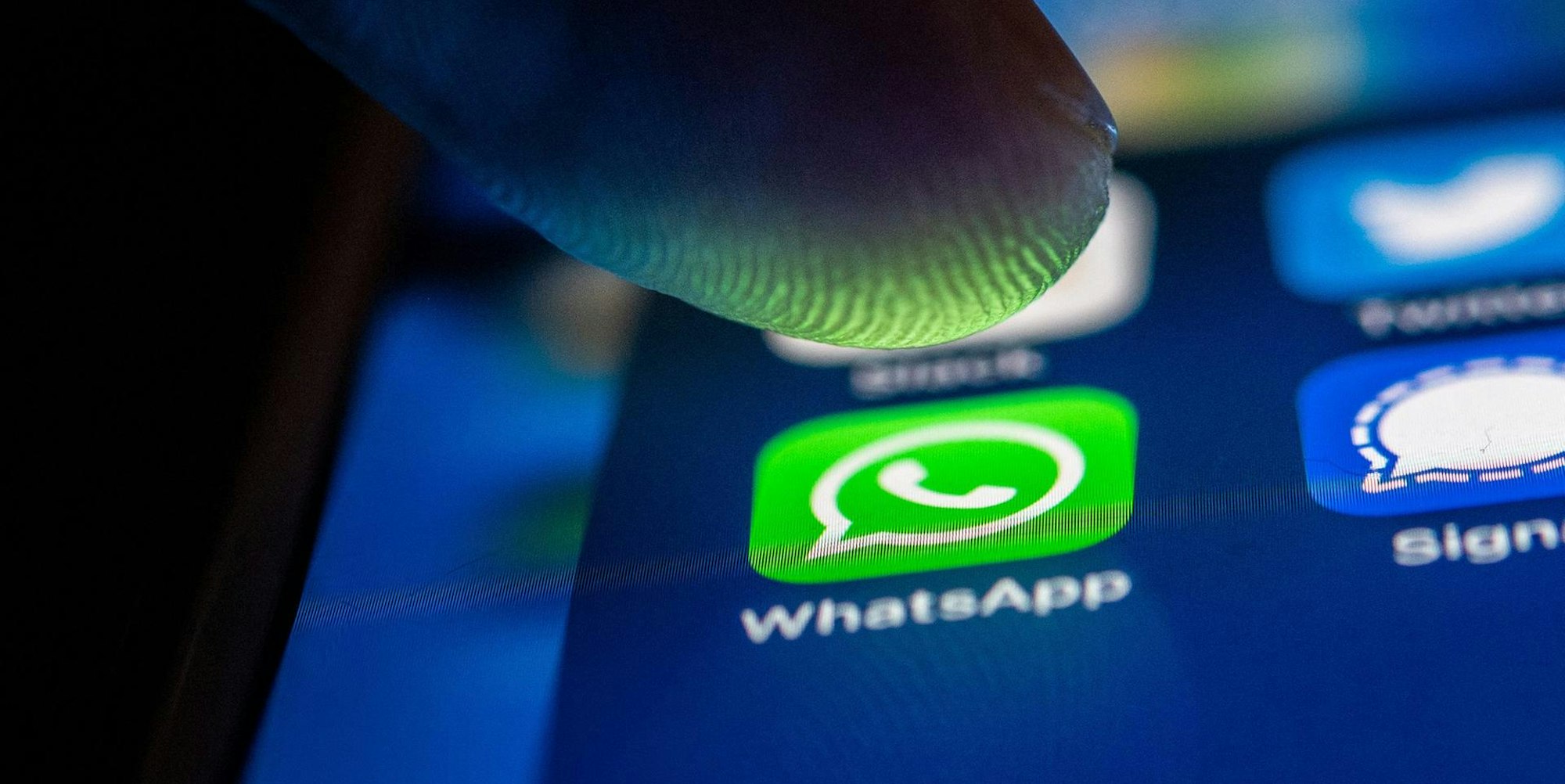 Whatsapp dpa