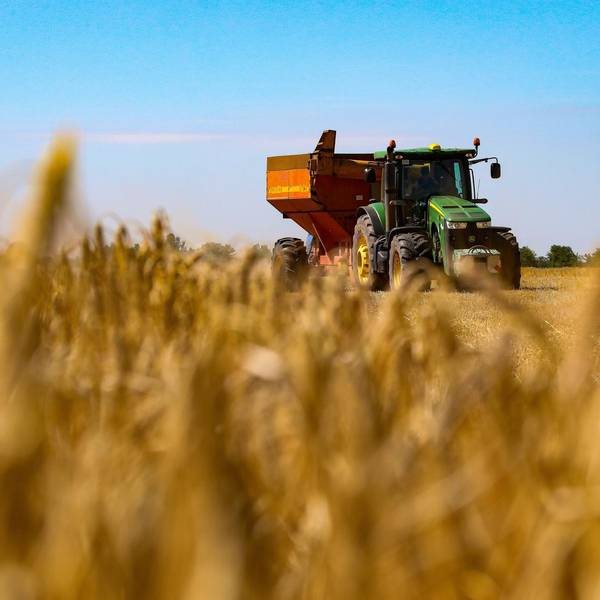 Ein Mähdrescher erntet Getreide auf einem Feld in der Region Odessa im Süden der Ukraine.