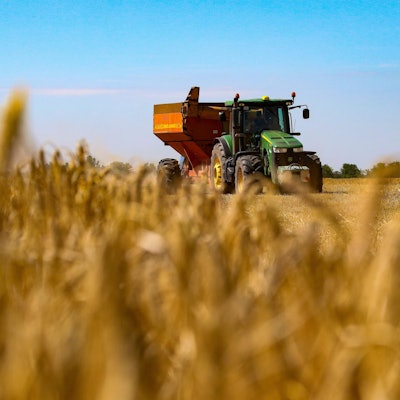 Ein Mähdrescher erntet Getreide auf einem Feld in der Region Odessa im Süden der Ukraine.