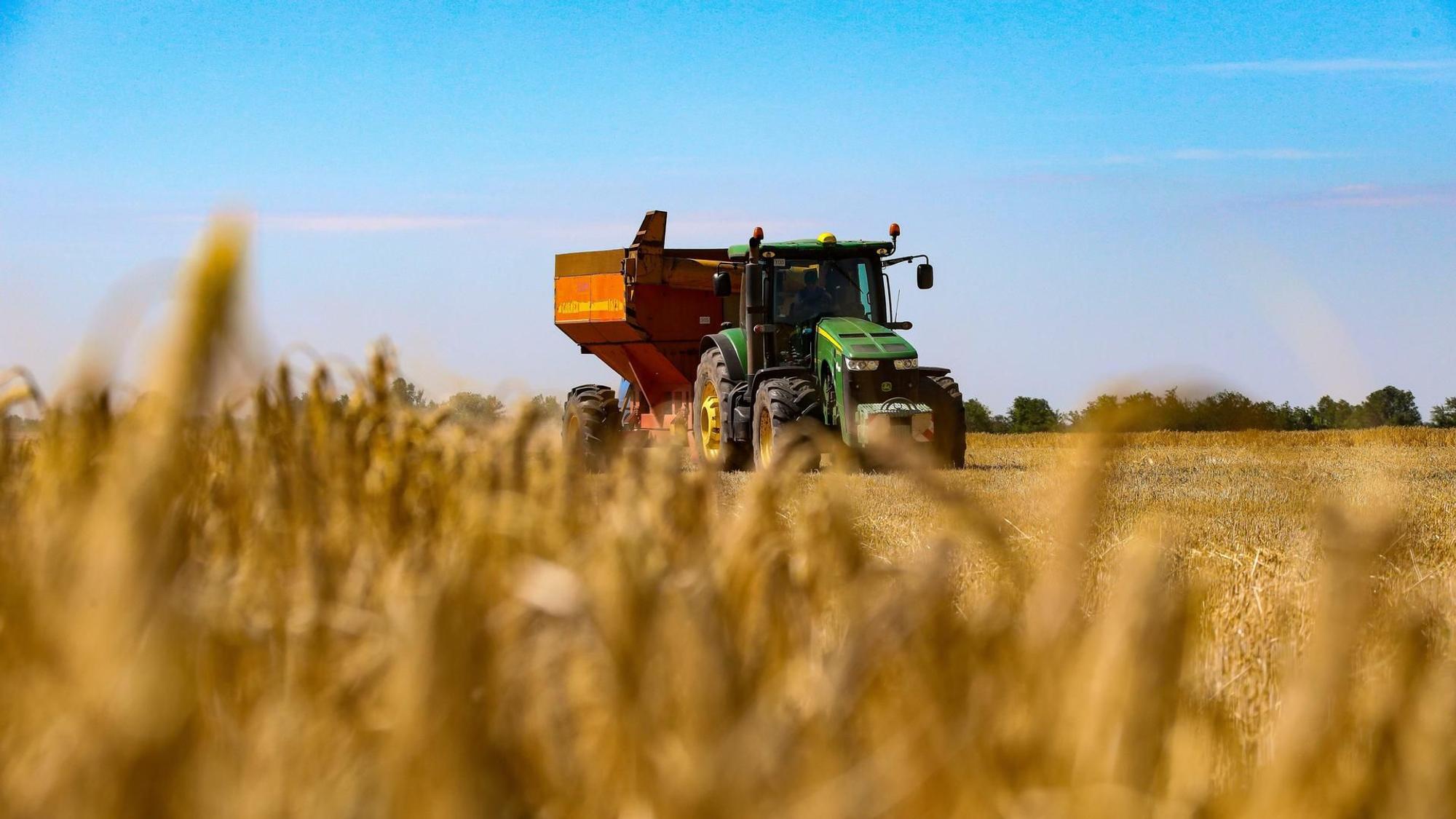 Ein Mähdrescher erntet Getreide auf einem Feld in der Region Odessa im Süden der Ukraine.