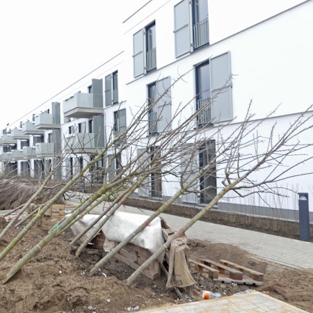 roes-wohnproj-ehr-OGH-007