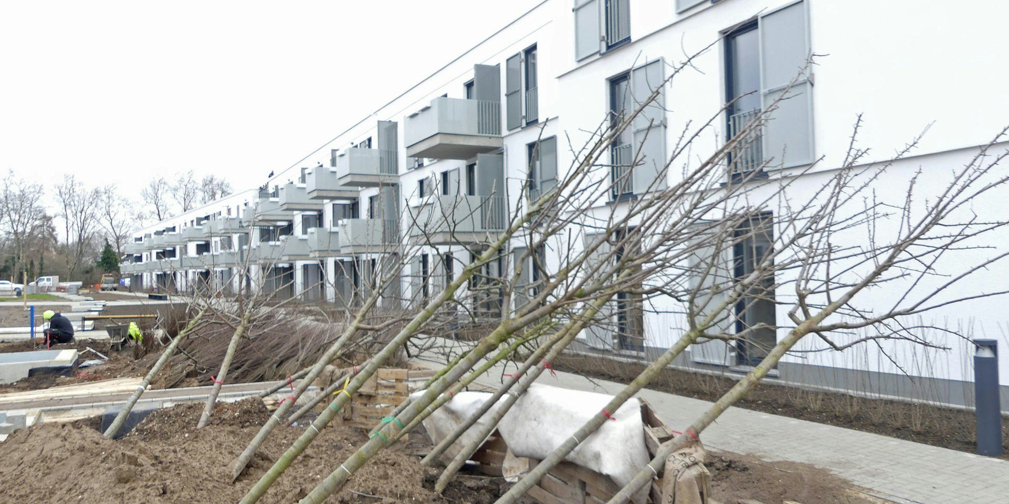 roes-wohnproj-ehr-OGH-007