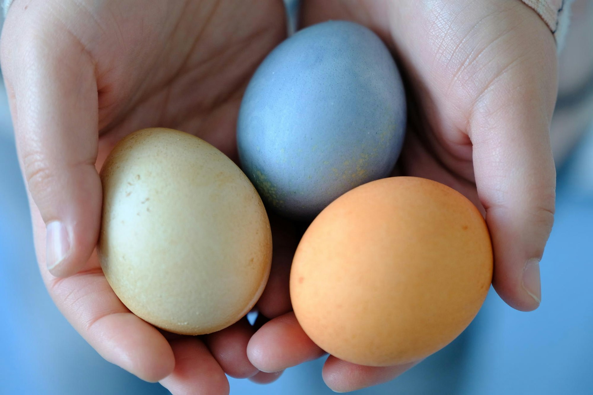 20190411_Ostereier_HGM_04