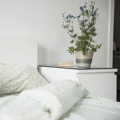 Zimmerpflanzen_schaffen_eine_gute_Schlafatmospäre