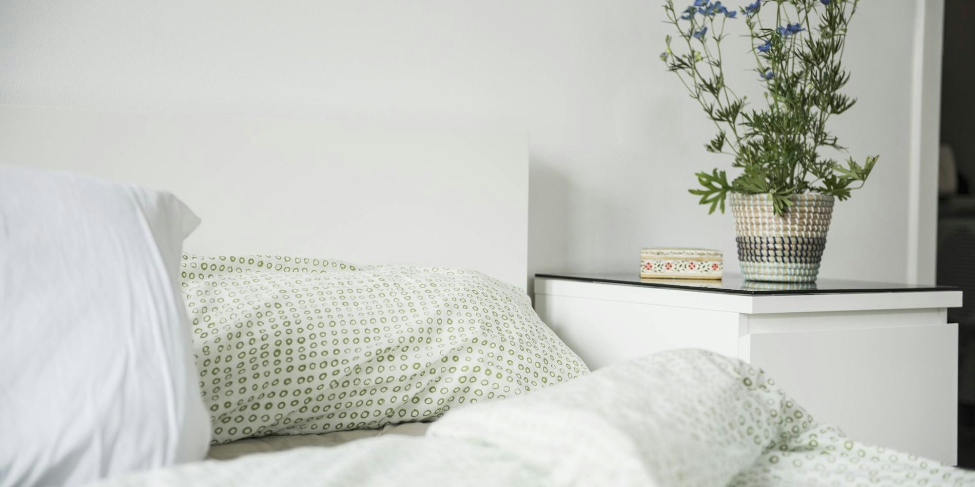 Zimmerpflanzen_schaffen_eine_gute_Schlafatmospäre