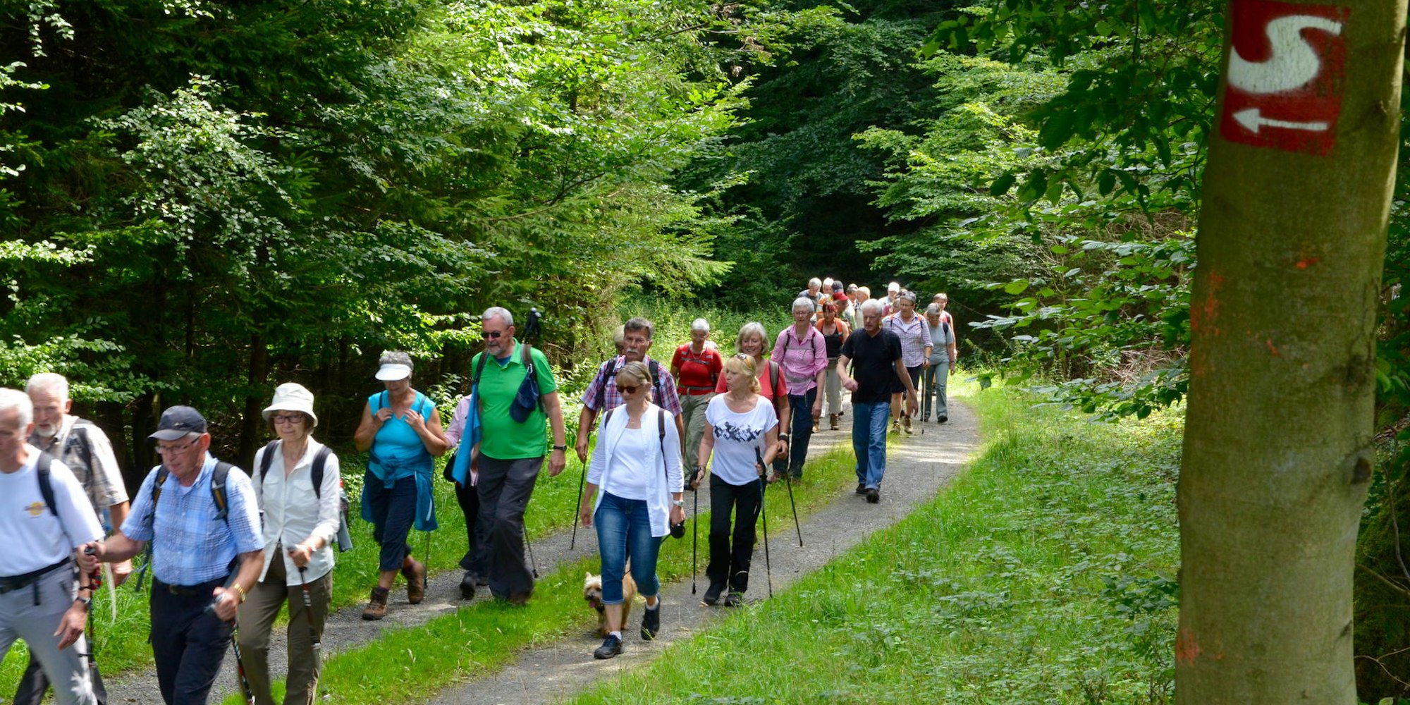 2017_08_14_Eitorf_Wanderung_-_1_(2)