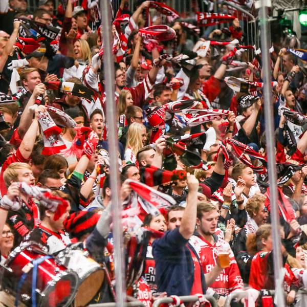 kölner haie fans