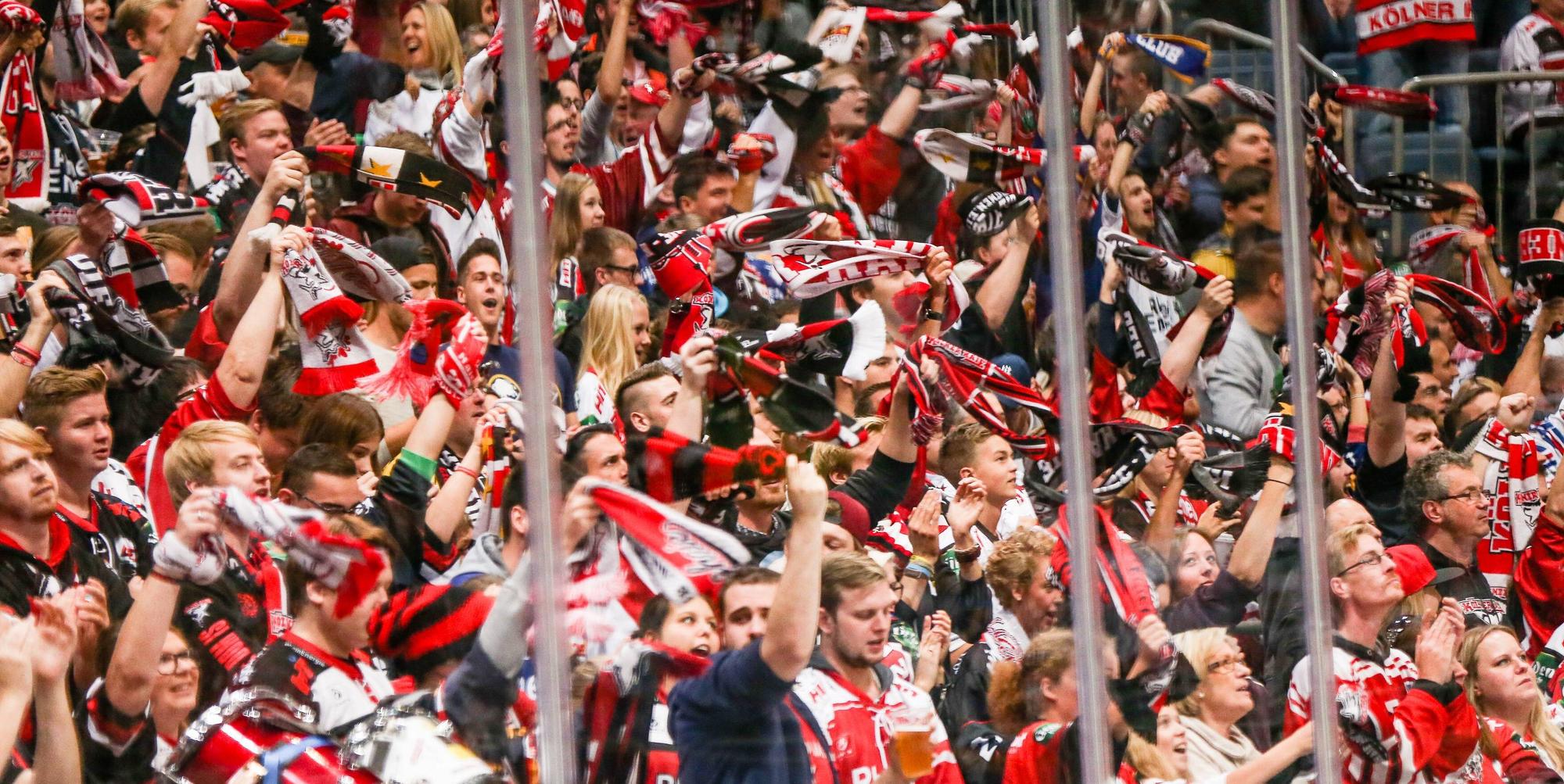 kölner haie fans