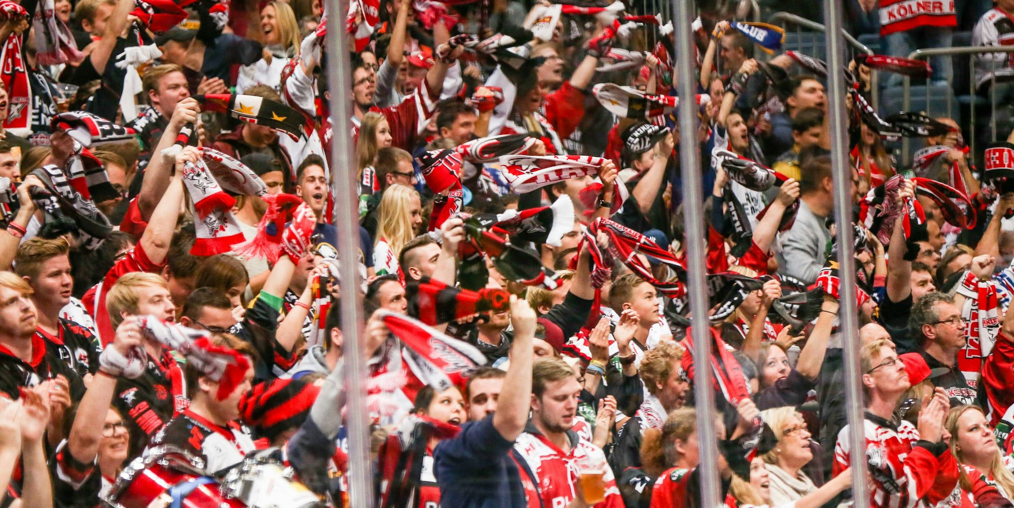 kölner haie fans