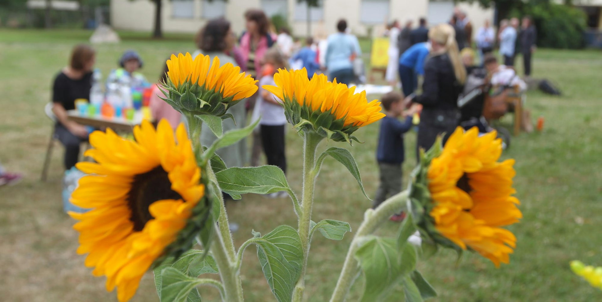 20220711-que--Reifenhaeuser_05