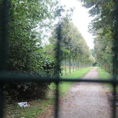 Bergheim_Zaun_Schloss_Frens_(3)