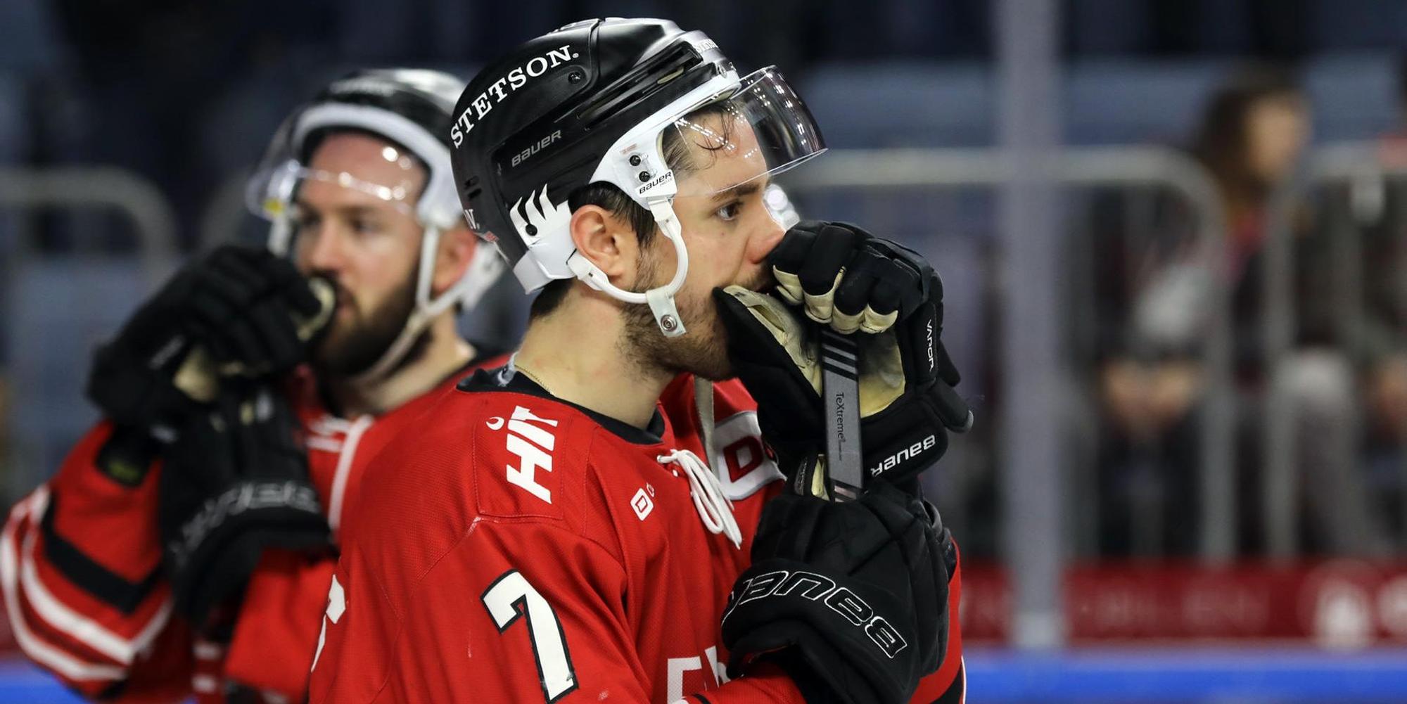 Haie München 1