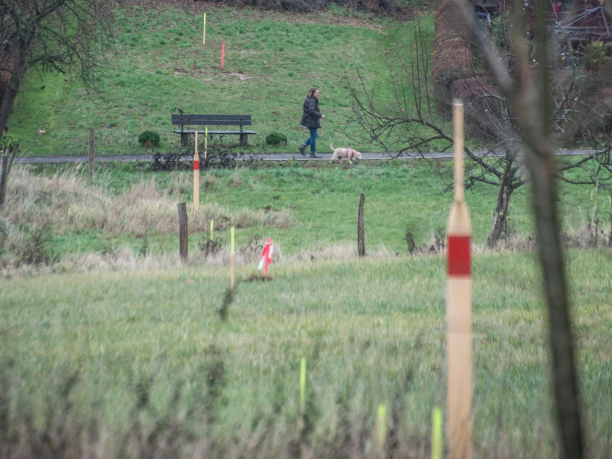 gasleitung-leverkusen_ALF_4477