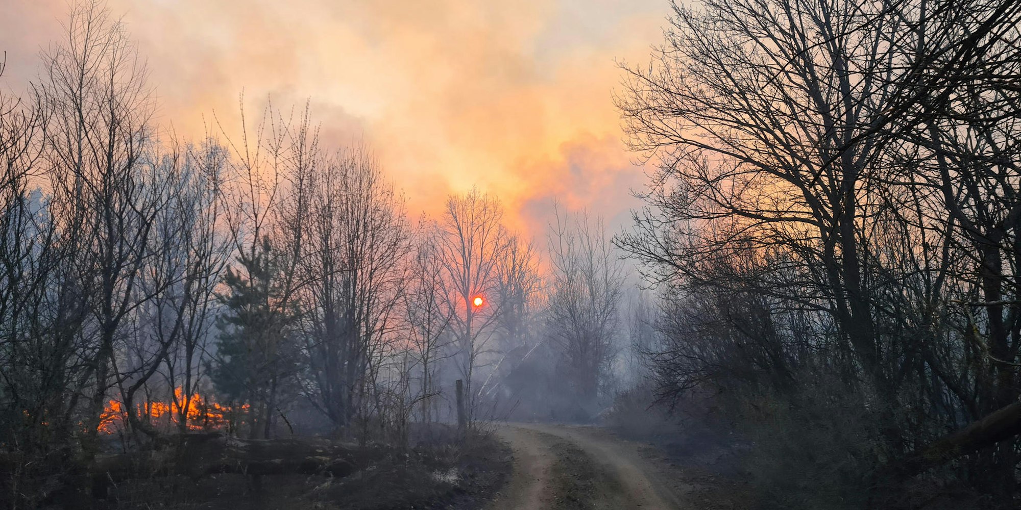Tschernobyl Feuer Wald