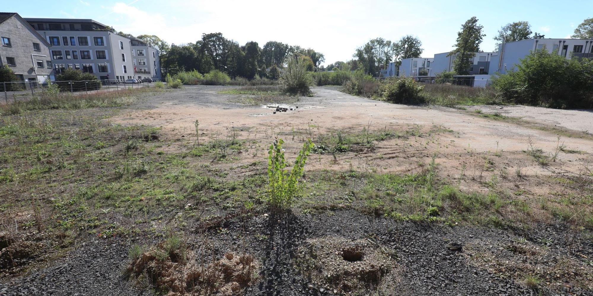 Neuer Inhalt