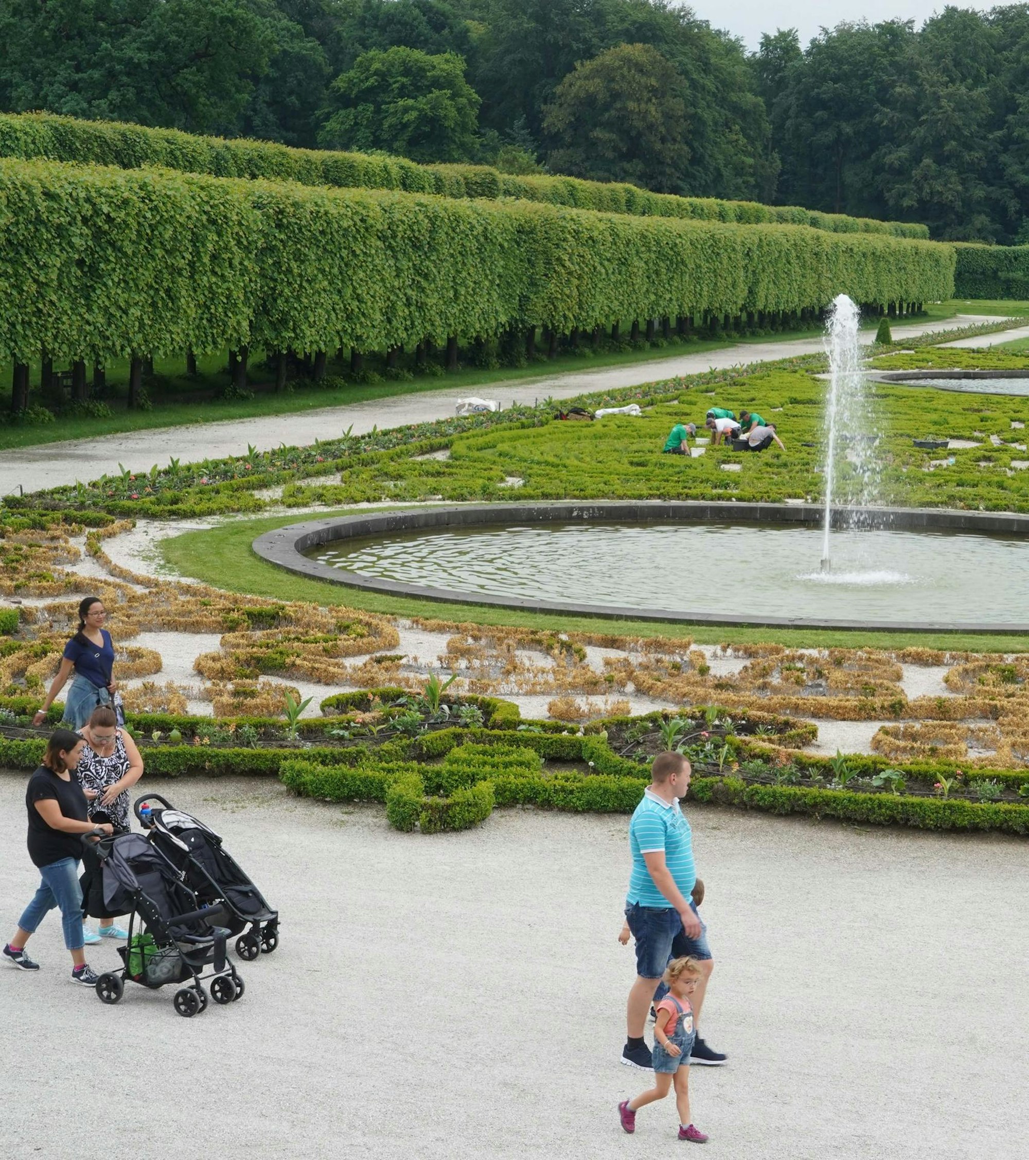 Schlosspark Augustusburg Vogel