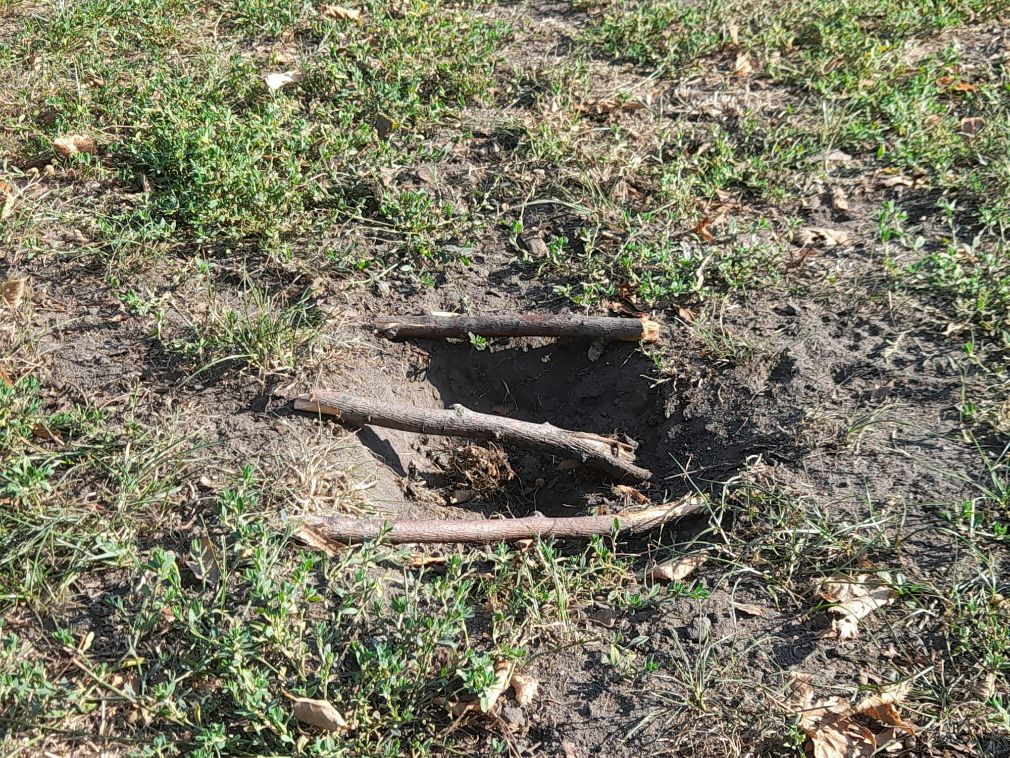 bes-alhambra-fussball06