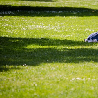 Fruehsommertag_Frau liegt im Park_dpa