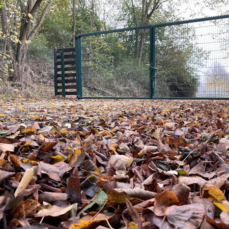 Schloss_Frens_041121