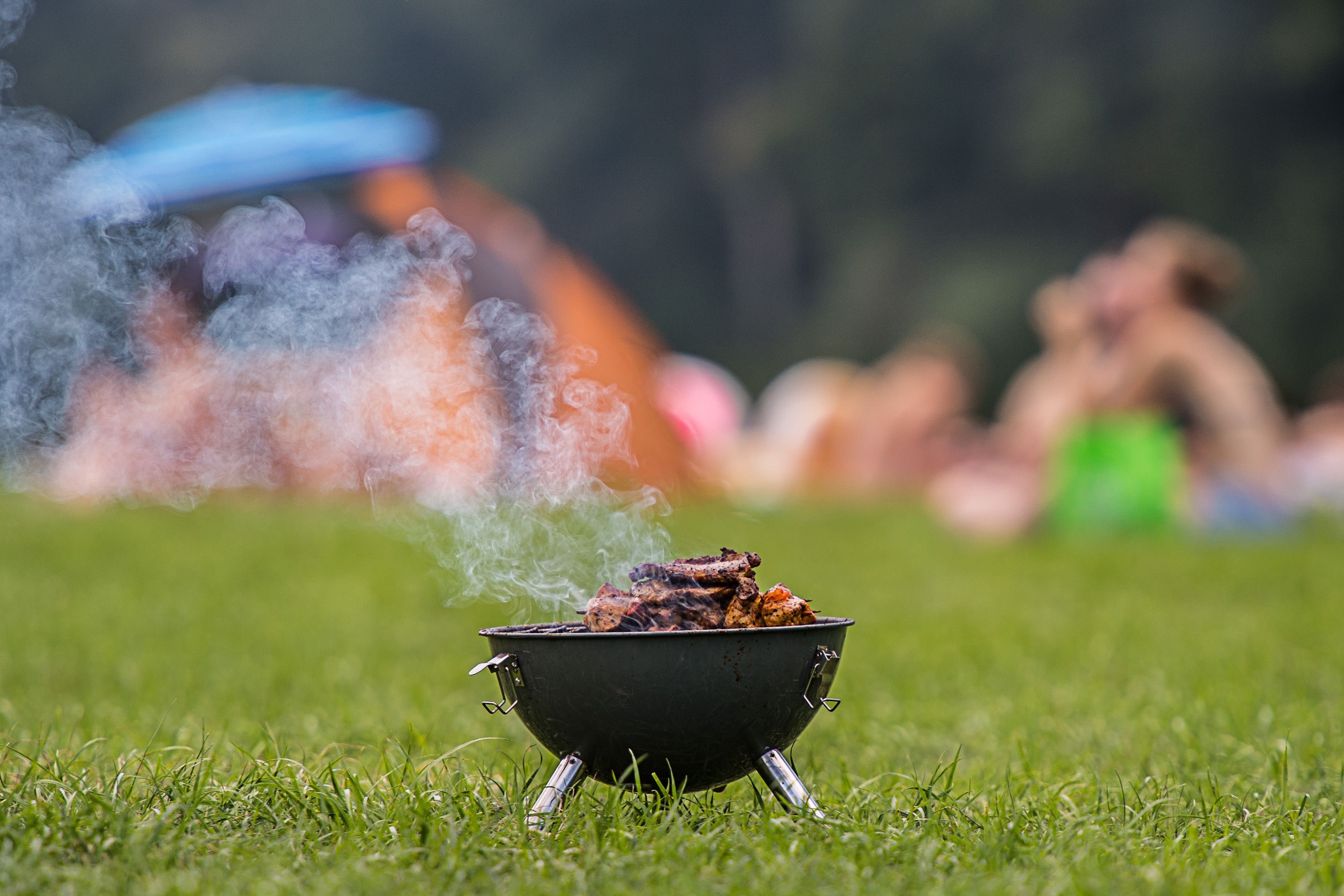 Grillen Minigrill Park