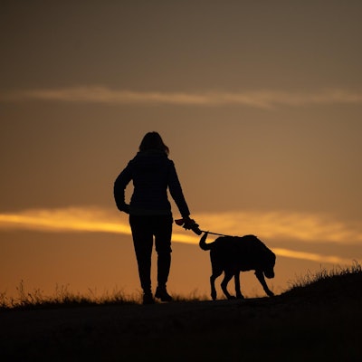 Hund 170820