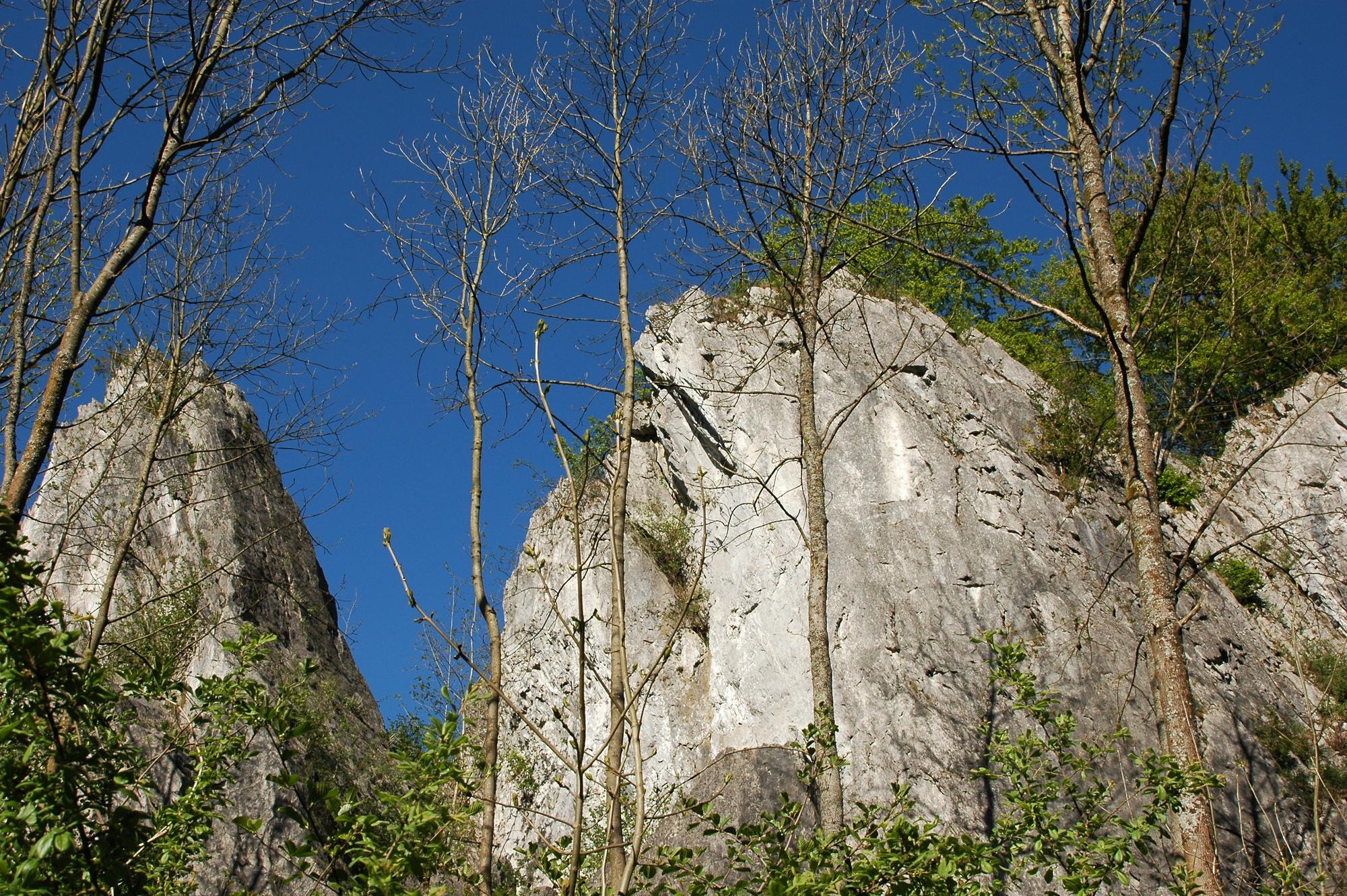 Warstein-Wildpark_wiki 2.0