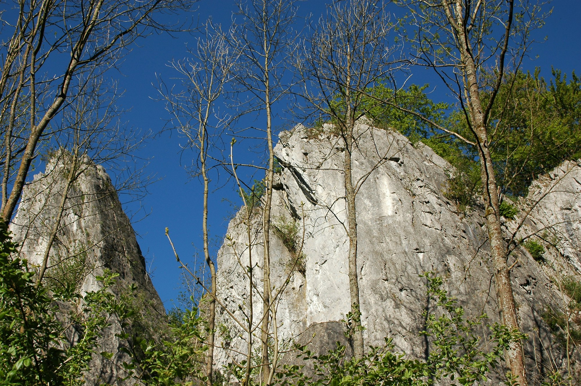 Warstein-Wildpark_wiki 2.0