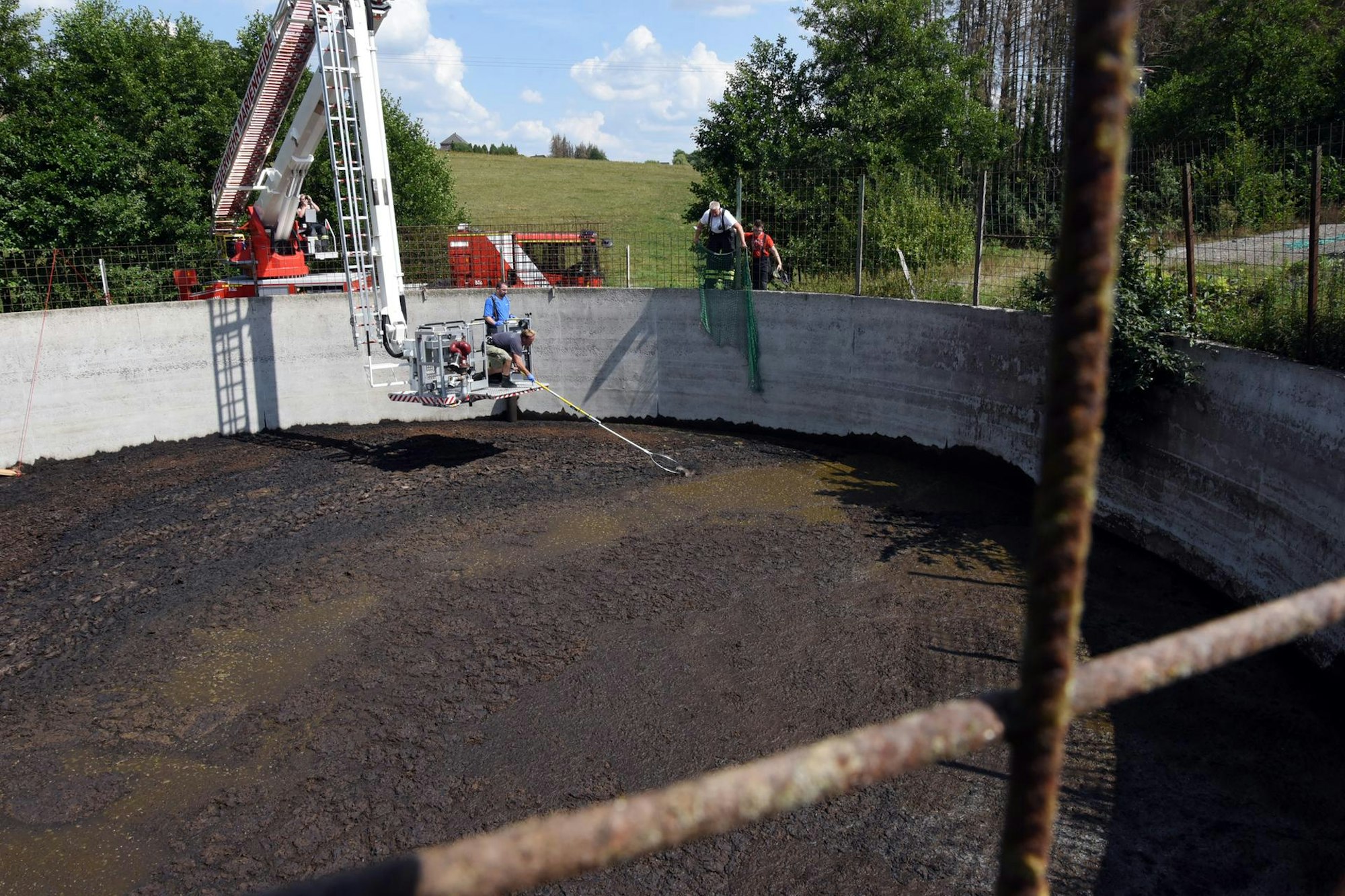 20220816_ds_Greifvogel_RettungAusGuellebecken_Breidenbach_Lindlar12