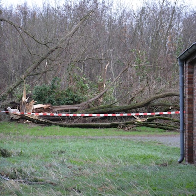 Orkan Symbolbild dpa