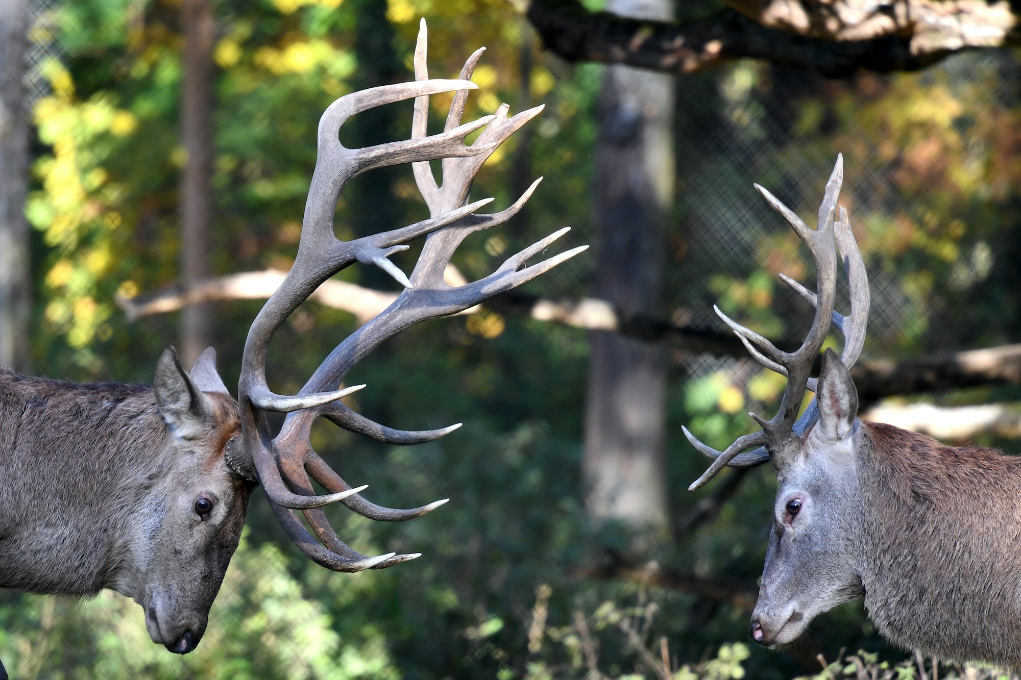 Tierpark Düsseldorf