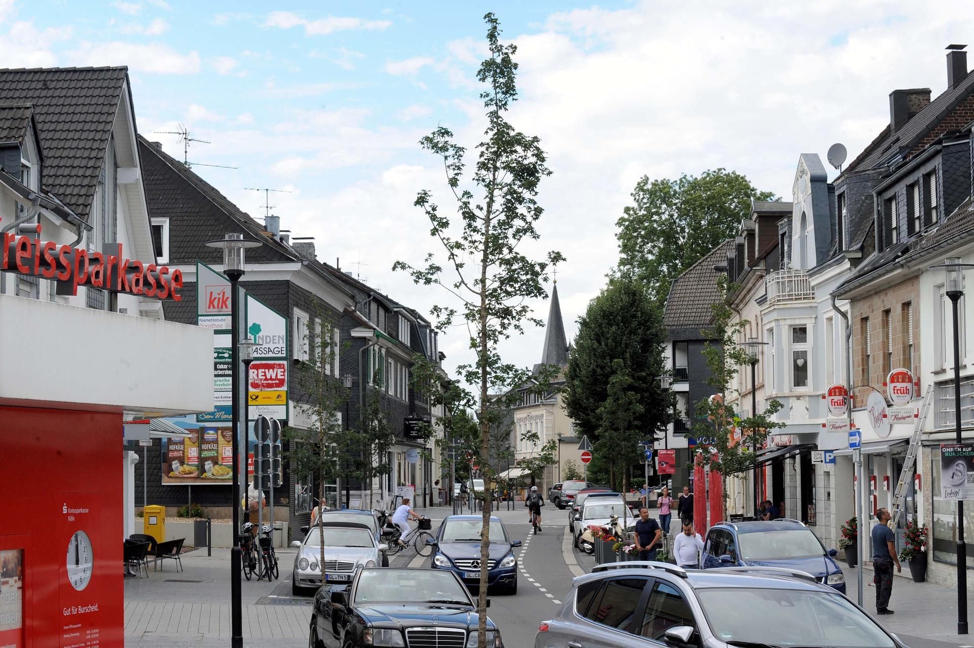 LE_wu-stadtbaeume-burscheid (2)