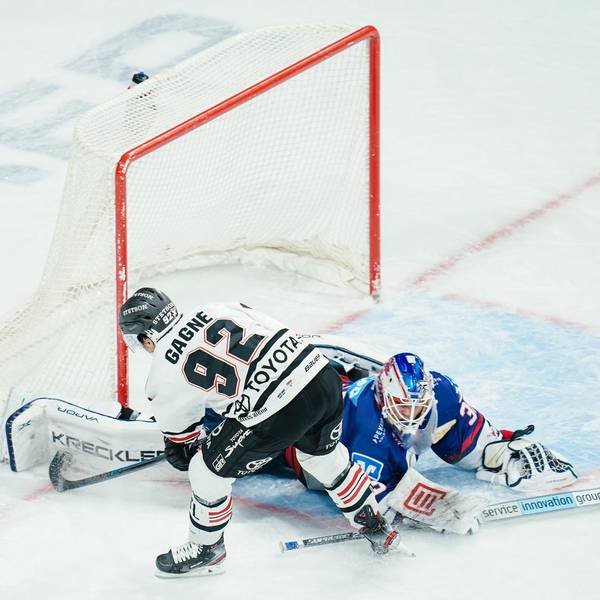 Haie Mannheim