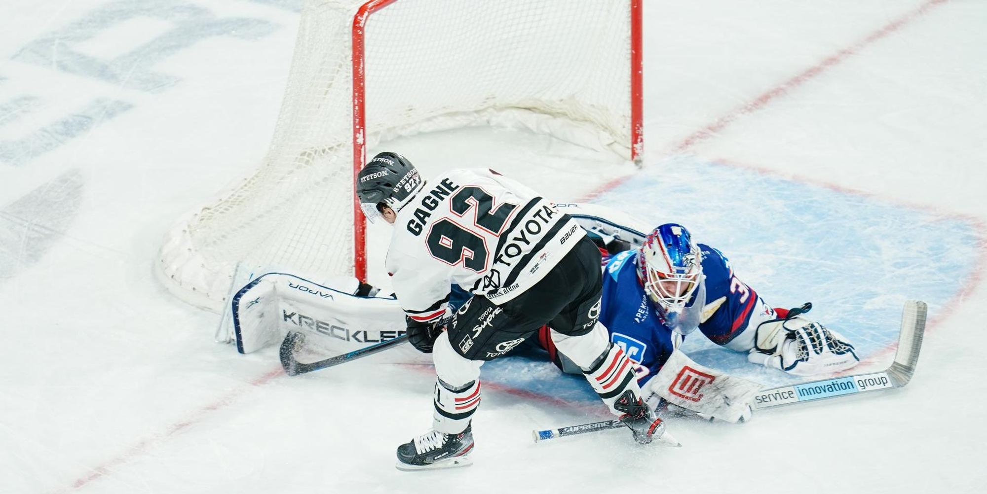 Haie Mannheim